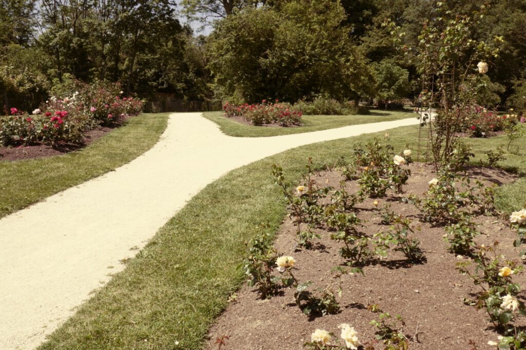 The Rose Garden at Les Jardins Suspendus, Le Havre, June 22, 2019