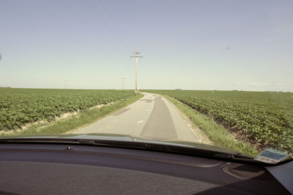 Fields in France, June 22, 2019