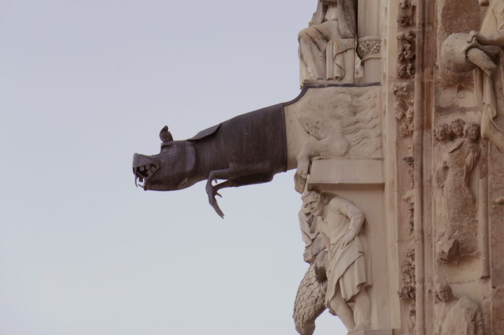 Reims Cathedral Boar, June 19, 2019