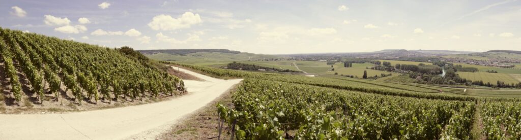 Montagne de Reims National Park, France, June 23, 2019