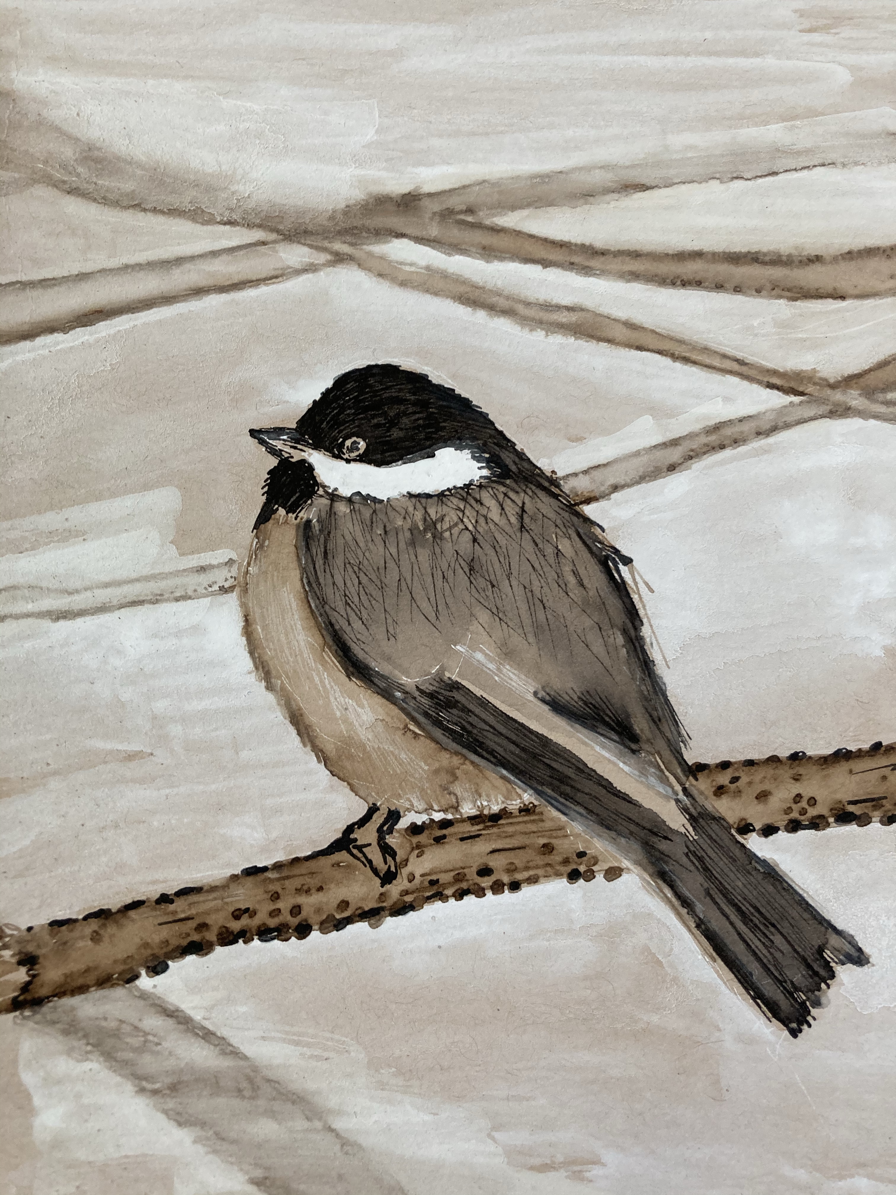 Pen and Ink Drawing of a Chickadee by Heather Classen